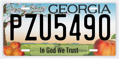 GA license plate PZU5490