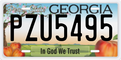 GA license plate PZU5495
