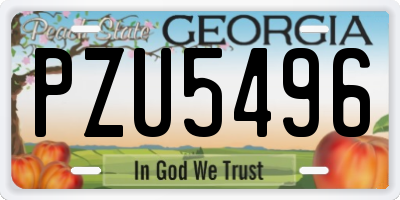 GA license plate PZU5496