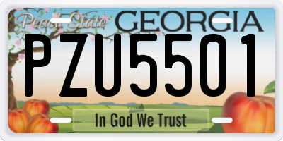 GA license plate PZU5501