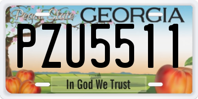 GA license plate PZU5511