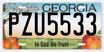 GA license plate PZU5533