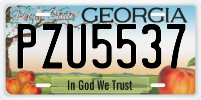 GA license plate PZU5537