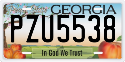 GA license plate PZU5538