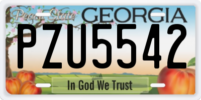 GA license plate PZU5542