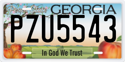 GA license plate PZU5543
