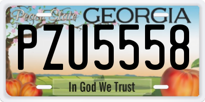 GA license plate PZU5558