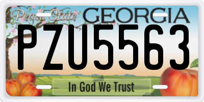 GA license plate PZU5563
