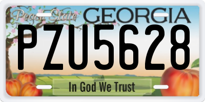GA license plate PZU5628
