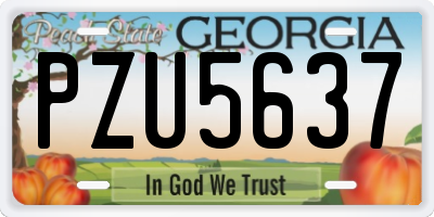 GA license plate PZU5637