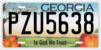 GA license plate PZU5638