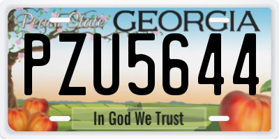 GA license plate PZU5644