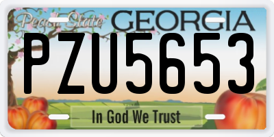 GA license plate PZU5653