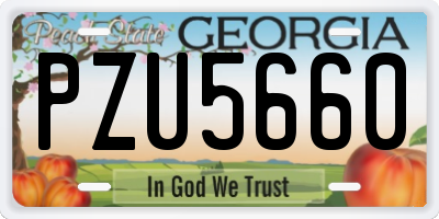 GA license plate PZU5660