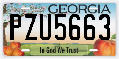 GA license plate PZU5663