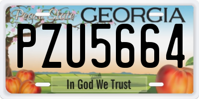 GA license plate PZU5664
