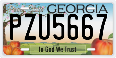 GA license plate PZU5667