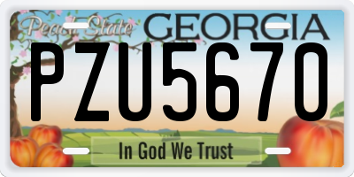 GA license plate PZU5670