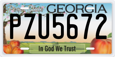 GA license plate PZU5672