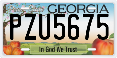 GA license plate PZU5675
