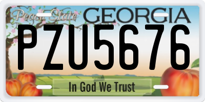 GA license plate PZU5676
