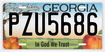 GA license plate PZU5686