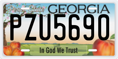 GA license plate PZU5690