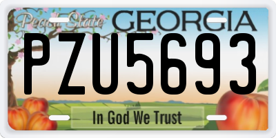 GA license plate PZU5693