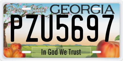 GA license plate PZU5697