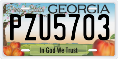 GA license plate PZU5703