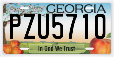 GA license plate PZU5710