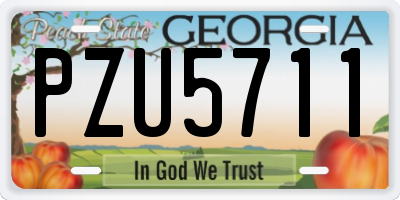 GA license plate PZU5711