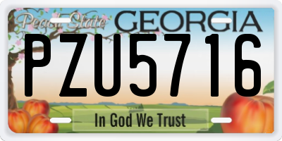 GA license plate PZU5716