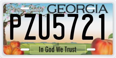 GA license plate PZU5721