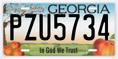 GA license plate PZU5734