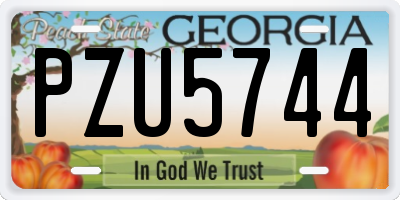 GA license plate PZU5744