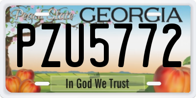 GA license plate PZU5772