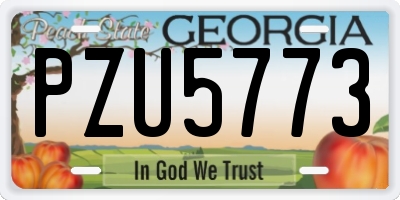 GA license plate PZU5773