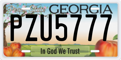 GA license plate PZU5777