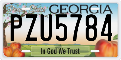 GA license plate PZU5784