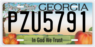 GA license plate PZU5791