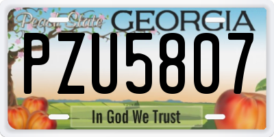GA license plate PZU5807
