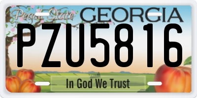 GA license plate PZU5816