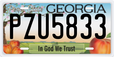 GA license plate PZU5833