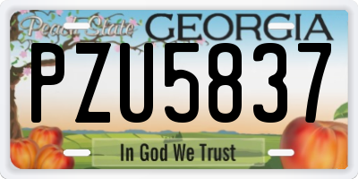 GA license plate PZU5837