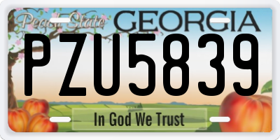 GA license plate PZU5839