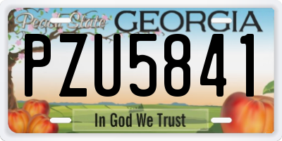 GA license plate PZU5841