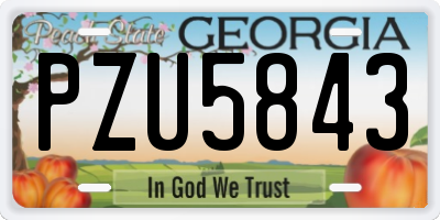 GA license plate PZU5843