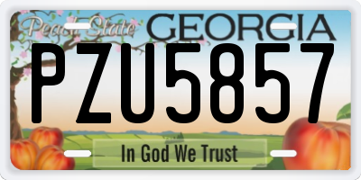 GA license plate PZU5857