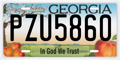 GA license plate PZU5860